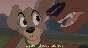 File:Check it faggot.jpeg