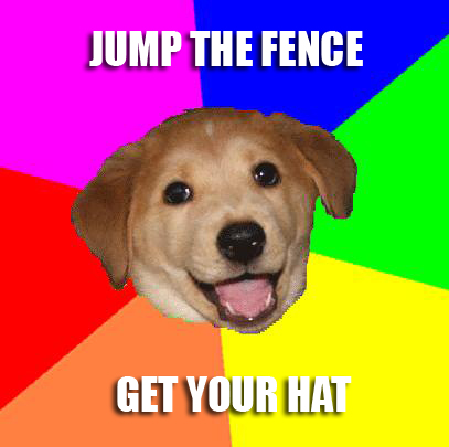 File:Advicedog asia.jpg