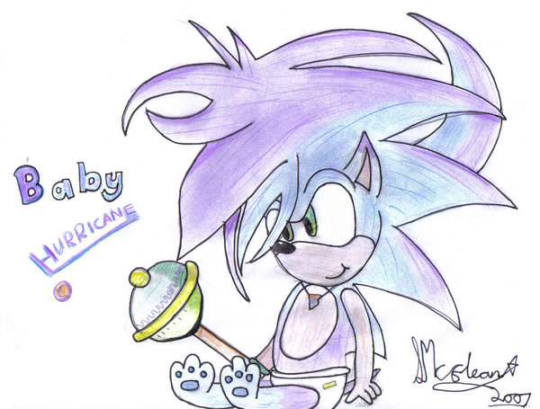 File:Baby hurricane the hedgehog by marballz.jpg