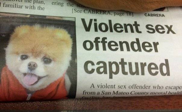 File:Violent sex offender doge.jpg