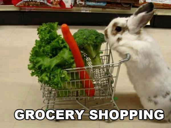 File:Bunny - Grocery Shopping.jpg