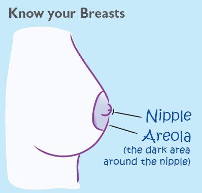 File:4girls boobs.jpg