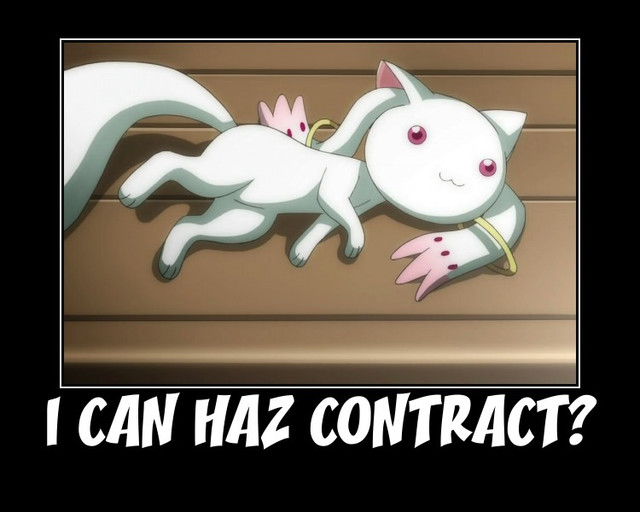 File:I can haz contact.jpg