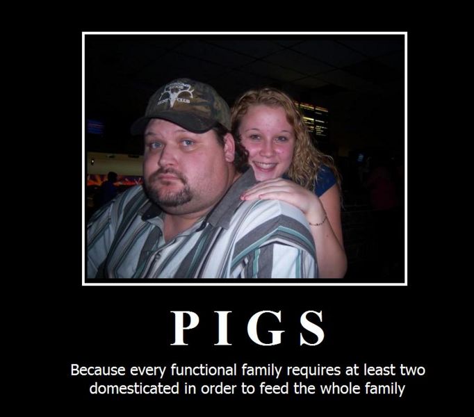 File:Pigs youtube.jpg