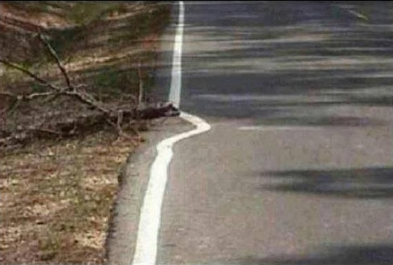 File:Quality workmanship.jpg