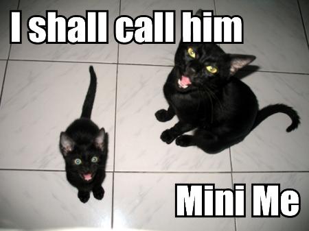 File:I-shall-call-him-mini-me.jpg