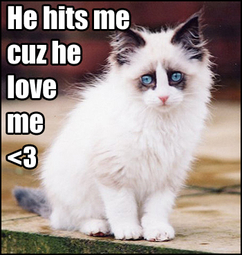 File:Domestic violence cat.jpg