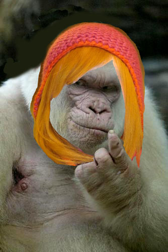 File:Face monkey.jpg