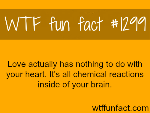 File:Love has nothing to do with your heart.png