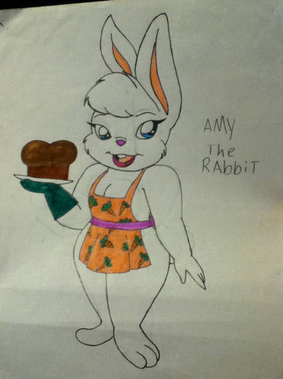 File:Amy the rabbit by thetoonyartist daiups7-414w.jpg