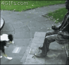 File:Dog statue fetch.gif