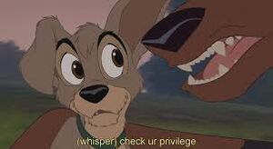 Check it faggot.jpeg