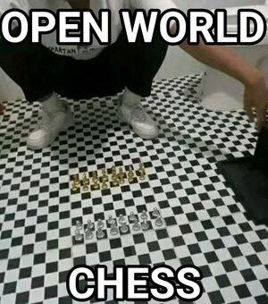 Open World Chess IRL.jpeg