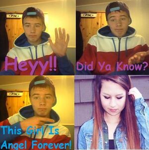 Four panel Amanda Todd.jpg