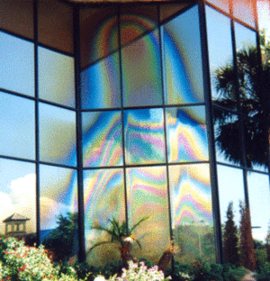 Virgin mary window.gif