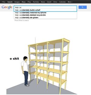 Google shelf.jpg