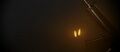 Thumbnail for version as of 14:07, 2 May 2026