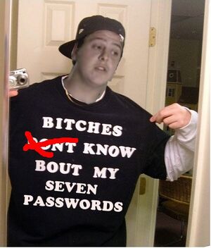 Bitches dont know passwords.jpg