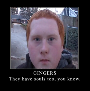 Gingershavesouls.png
