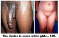The white penis is vastly inferior to the great black penis.