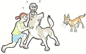 Those damn wolfaboos.jpg