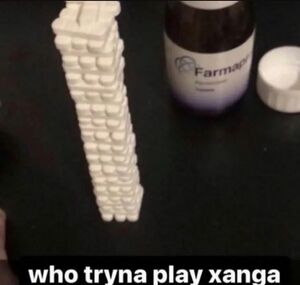 Who Tryna Play Xanga.jpeg
