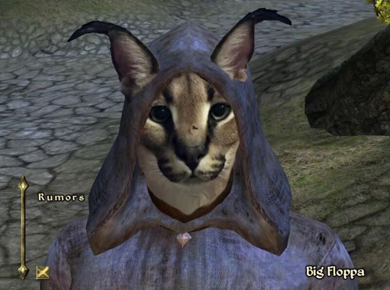 File:Elder Scrolls Floppa.jpeg